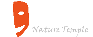 Ase